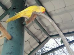-吉隆坡雀鸟公园