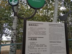 -北京麋鹿生态实验中心