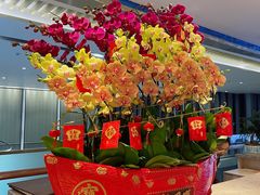 -金翠皇宫粤菜·点心·海鲜(科技园店)