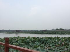 -白洋淀景区