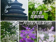-天坛公园