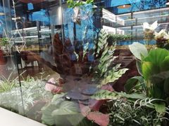 -Bistro181 (大渔湾店)