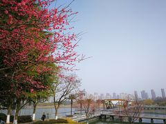 -白塘生态植物园