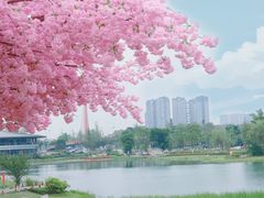 -桂溪生态公园