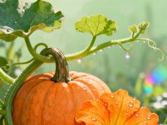 -闪电修企业手机电脑回收(西湖风景名胜区店)