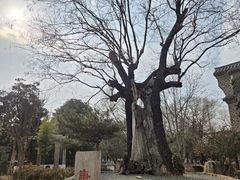 -观唐（国际）度假村温泉