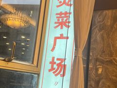 -多迷烫菜广场(水心大厦店)