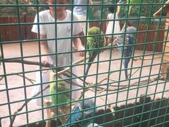 -杭州开元森泊度假乐园