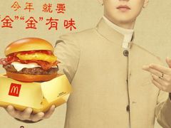 -麦当劳(新洲南路店)