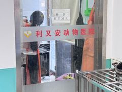 -利又安动物医院··老年病·猫科犬科·中兽医