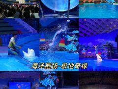-海合安武汉极地海洋公园