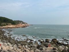 -广东惠东海龟国家级自然保护区