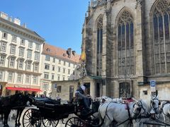 -斯蒂芬主教座堂(Stephansdom)