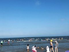 -渡海小渔村.老辈日照菜