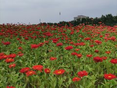-长春世界雕塑园冰雪艺术天地