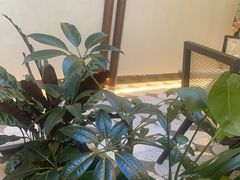 -志明眷村·台式融合菜·宵夜