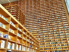 -朵云书院(滴水湖店)