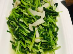 白玉菇清炒鸡毛菜-福慧慈缘素食餐厅(王府井店)