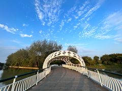 -同里国家湿地公园