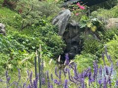 -云溪植物园