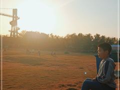 -武汉紫薇都市田园