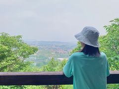 -龙门崮风景区