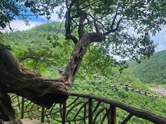 -蝶舞清江·恩施地心谷景区