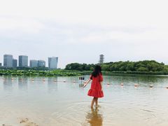 -暨阳湖生态园