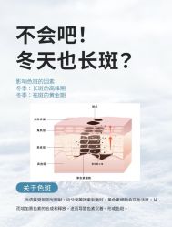 -玛莲朵·海菲秀冰珀科