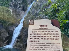 -霸王岭国家森林公园