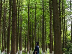 -艾溪湖湿地公园