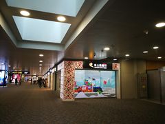 -日上免税行(浦东机场五店)