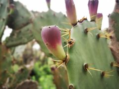 -Club Med地中海俱乐部·桂林度假村