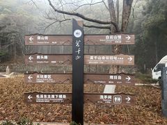 -莫干山风景区