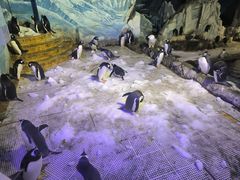 -成都浩海立方海洋公园