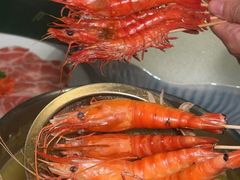 -喜聚薈·花膠雞海鮮火鍋(越秀店)