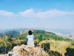 -长虫山生态公园风景林