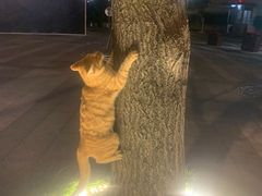 -玉林生活广场