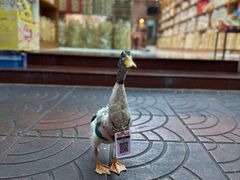 -唐人街(耀华力路)