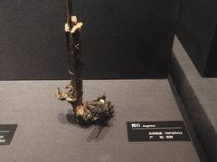 -山东博物馆