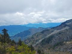 -朱雀国家森林公园