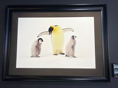 -罗红摄影艺术馆