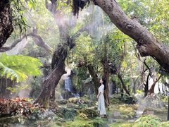 -Chom Cafe and Restaurant