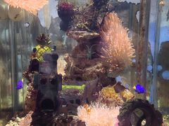 -太平洋海底世界