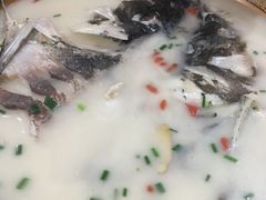 -渔老大·有机鱼馆·老字号(古城店)