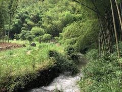-宁波浙东大竹海景区