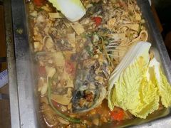 娃娃菜-黑猫馋纸包鱼(阳光店)