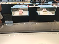 -BLACKSWAN黑天鹅(环球店)