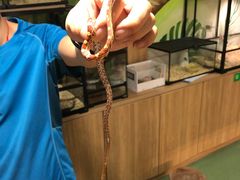 -藦茜花园宠物主题亲子互动体验馆(国顺东路店)