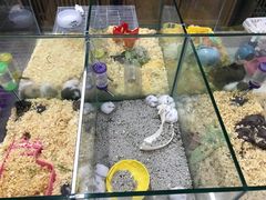 -米卢宠物公园(广华居店)